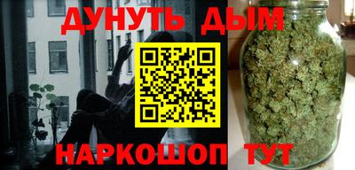 сатива Бузулук